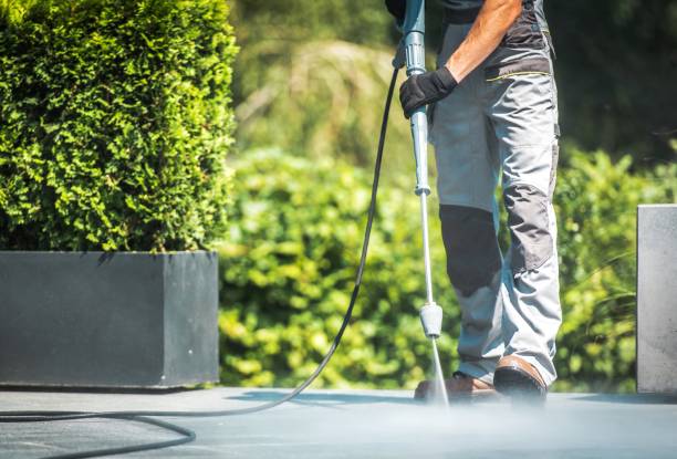 Best Animal Enclosure Cleaning  in Elm Creek, TX